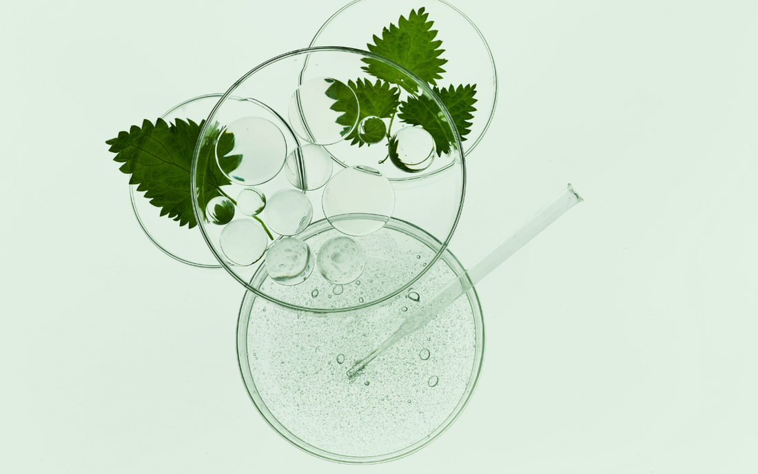 Vegan Skincare: Is It Really All That Good?