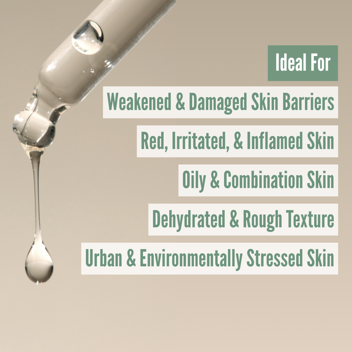 AXIS-Y Artichoke Intensive Skin Barrier Ampoule skin type