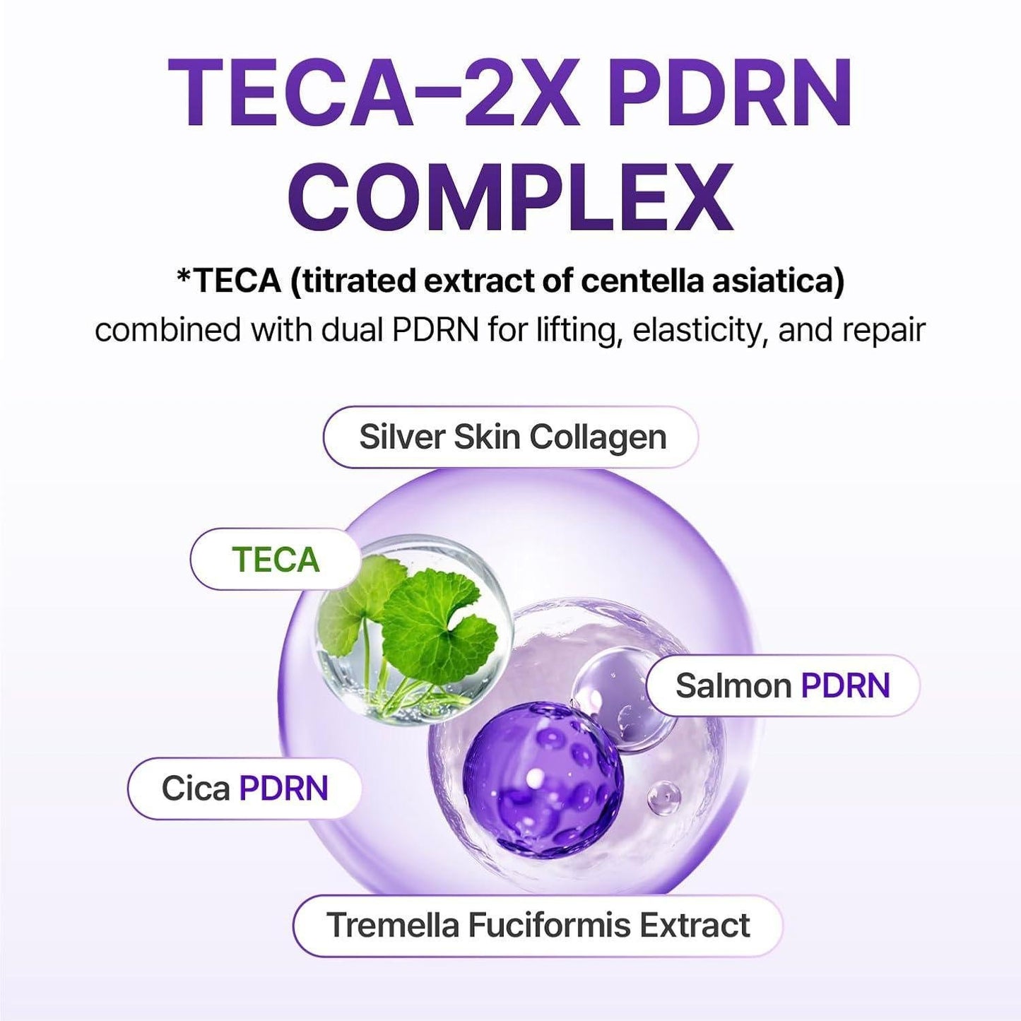 Diagram of TECA-2X PDRN Complex with ingredients and their functions