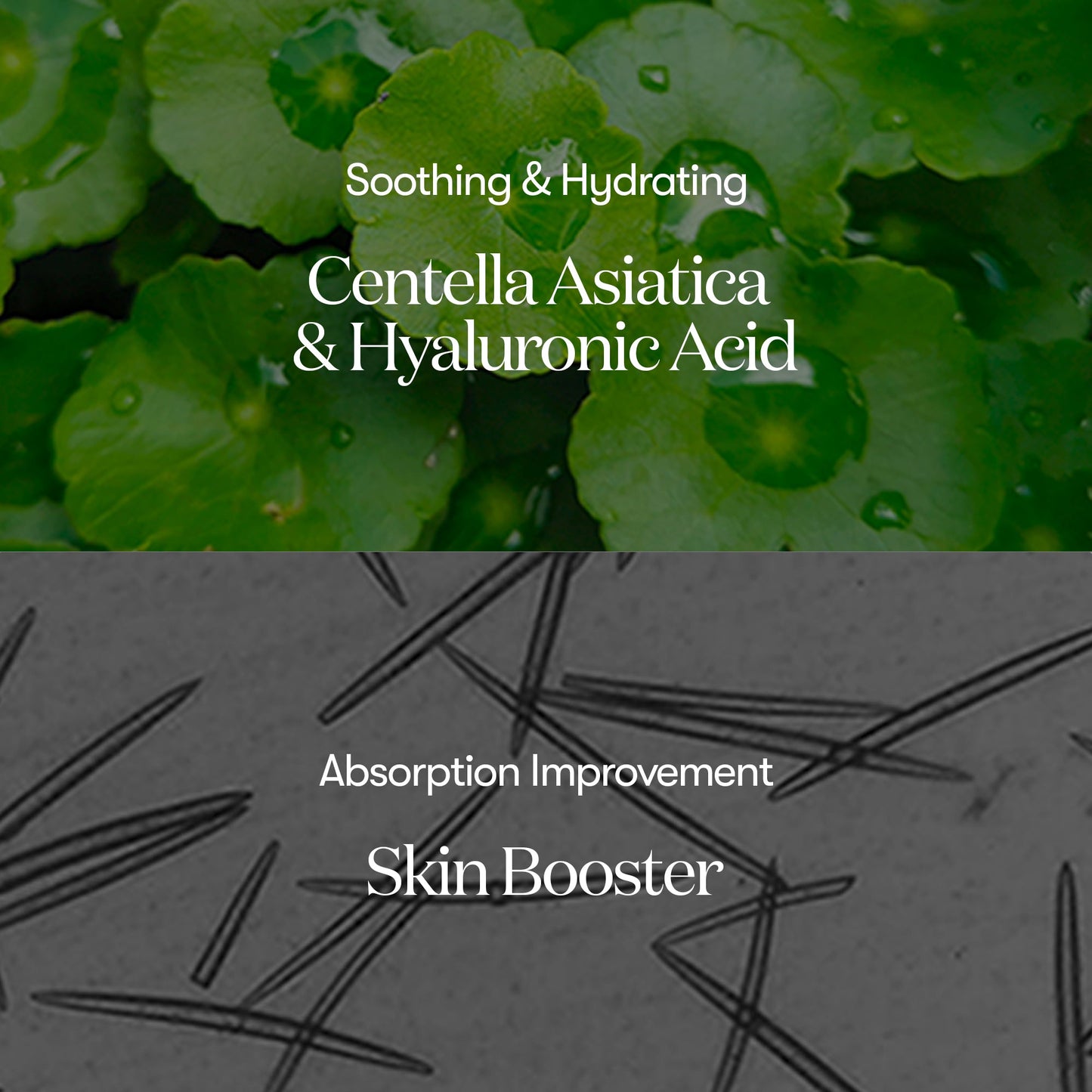 VT Reedle Shot 700 - 30ml